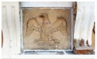 aquila
