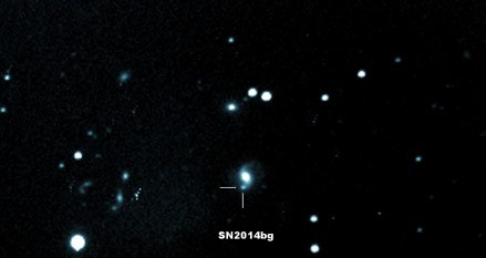 La nuova stella supernova "sn2014bg"