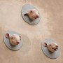 Tre-Topi