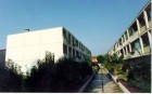 Via-Ravegnana